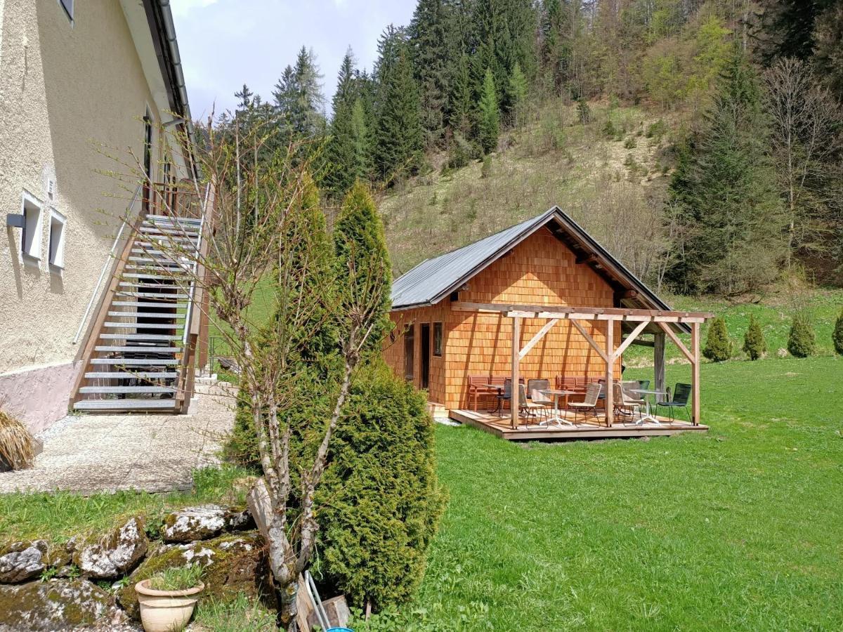 Appartements Bergheim Hirschbuhel Zewnętrze zdjęcie